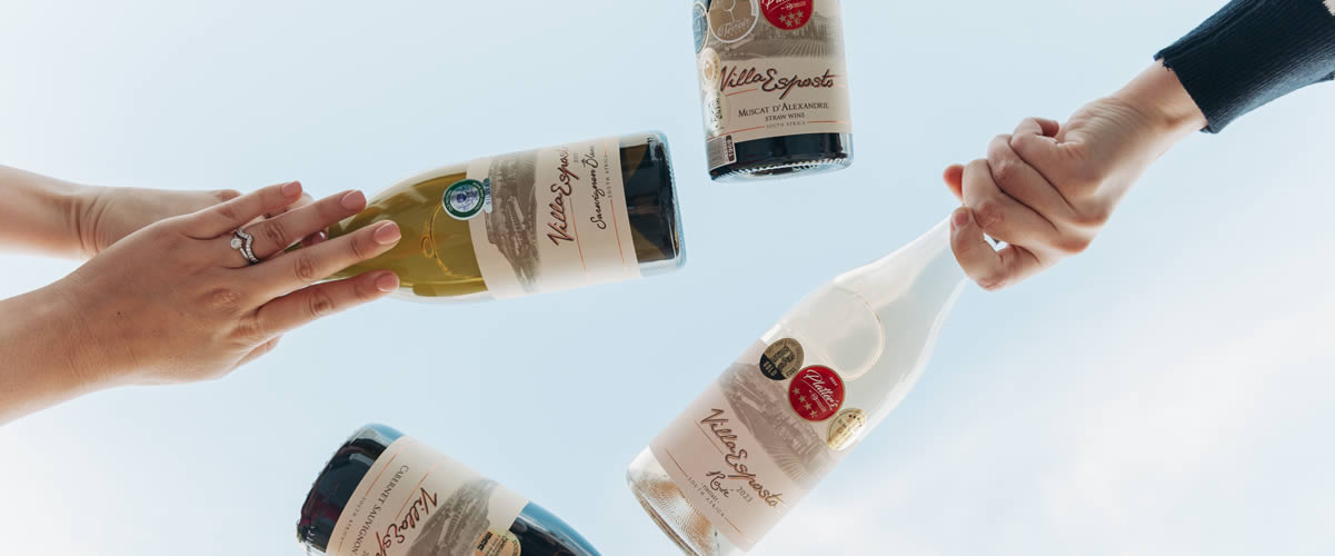 Meet our wines